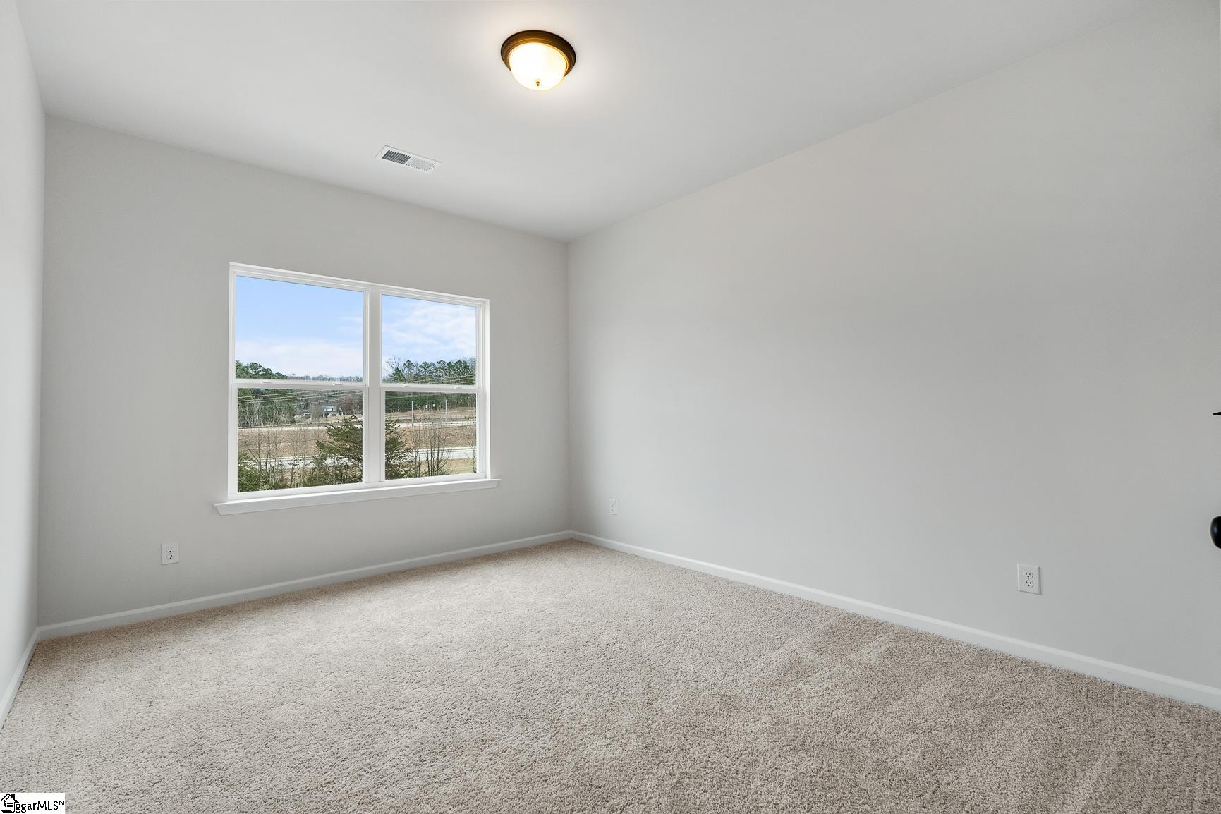 13 Lone Cypress Street Travelers Rest, SC 29690 - Photo 29 of 43