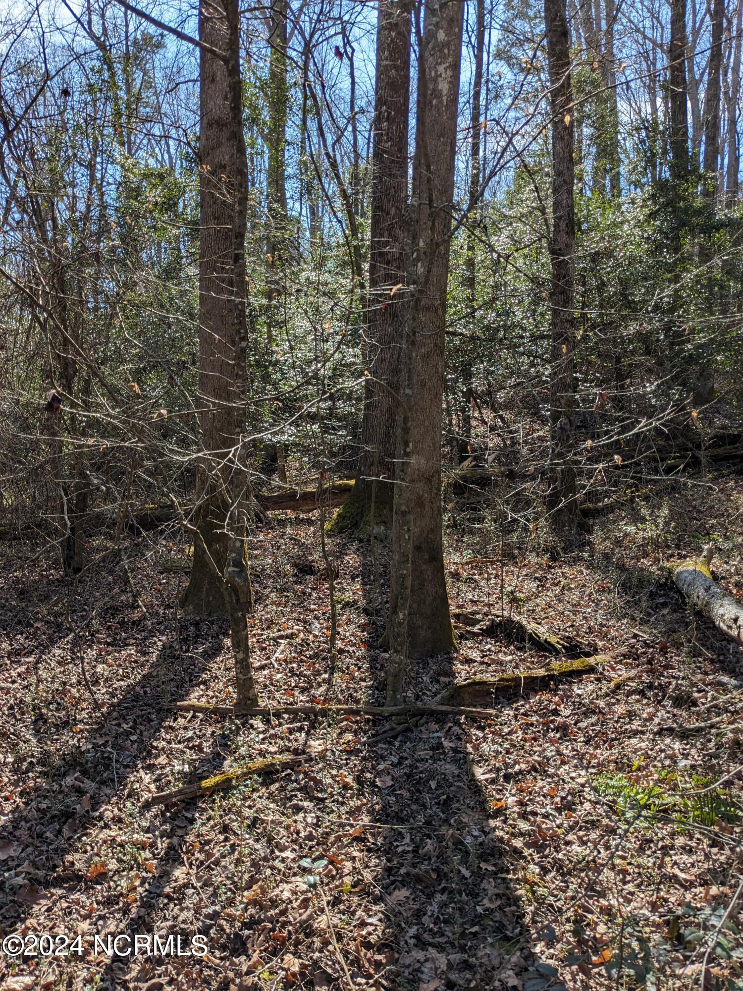 698 Gilchrist Road Cameron, NC 28326 - Photo 22 of 35 PXL_20240215_174035542