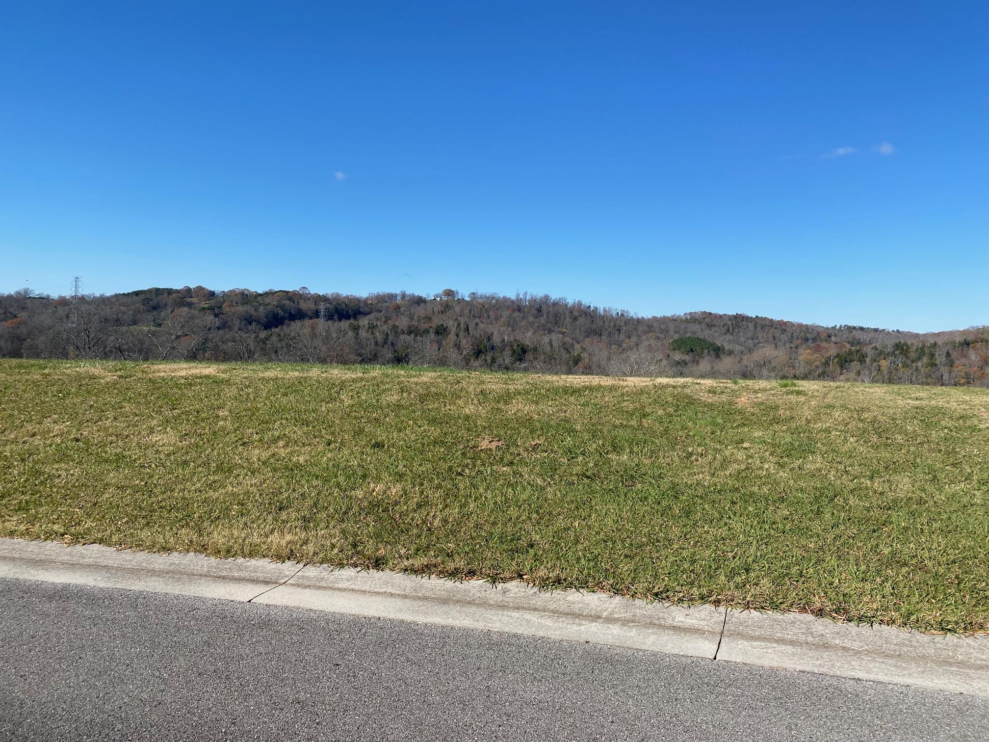 2399 Persimmon Ridge Loudon, TN 37774 - Photo 1 of 13 IMG_1382