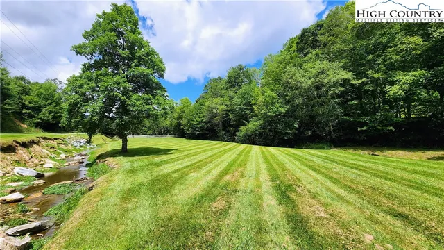 a view of a yard with a tree