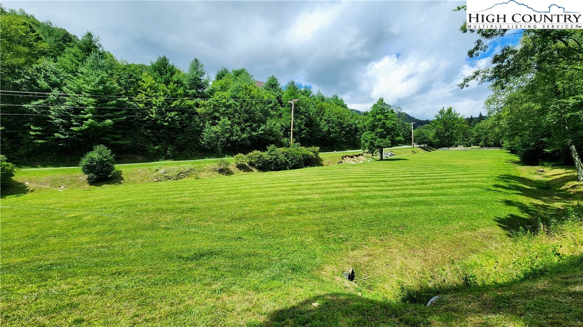 Lot 1 Horseshoe Creek Road Banner Elk, NC 28604 - Photo 12 of 20 a big yard with lots of green space and plants