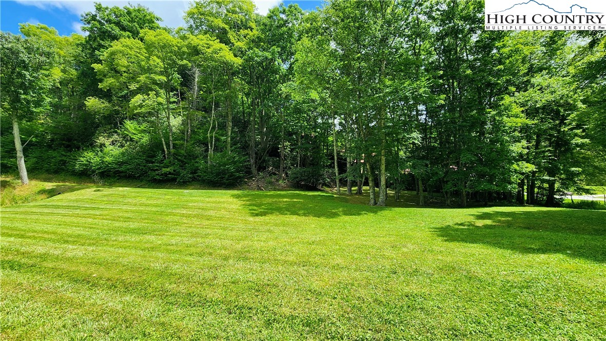 Lot 1 Horseshoe Creek Road Banner Elk, NC 28604 - Photo 13 of 20 a view of a field of grass and basketball court