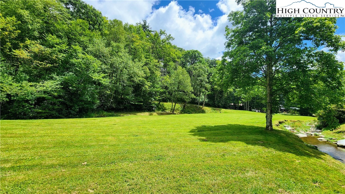 Lot 1 Horseshoe Creek Road Banner Elk, NC 28604 - Photo 16 of 20 a view of field with tall trees