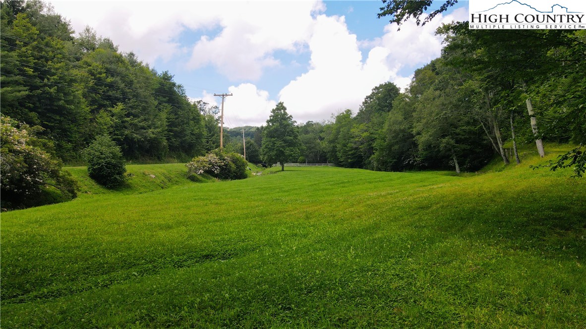 Lot 1 Horseshoe Creek Road Banner Elk, NC 28604 - Photo 5 of 20 a view of a field of grass and trees