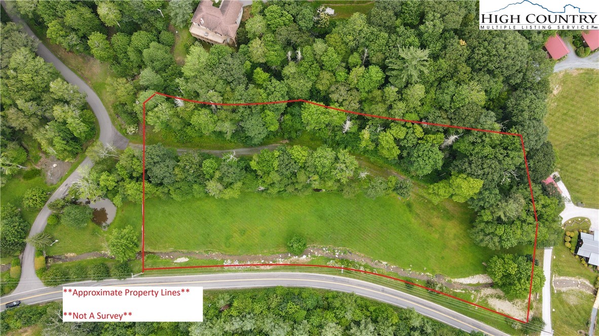 Lot 1 Horseshoe Creek Road Banner Elk, NC 28604 - Photo 6 of 20 a view of a yard