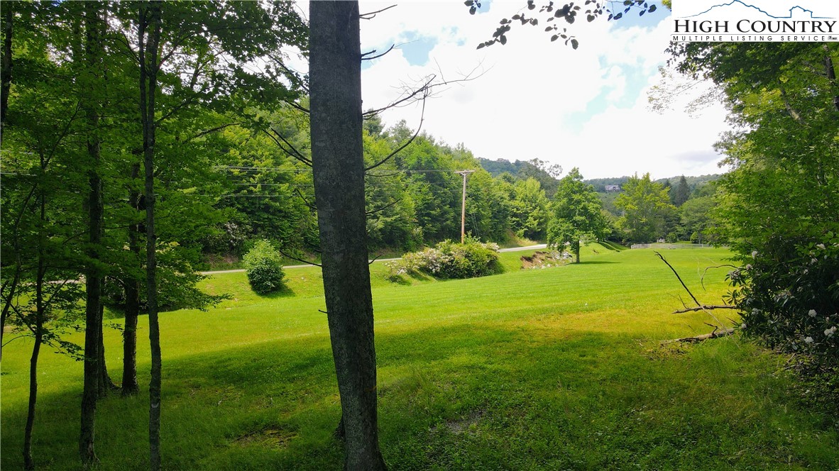 Lot 1 Horseshoe Creek Road Banner Elk, NC 28604 - Photo 7 of 20 a view of a big yard