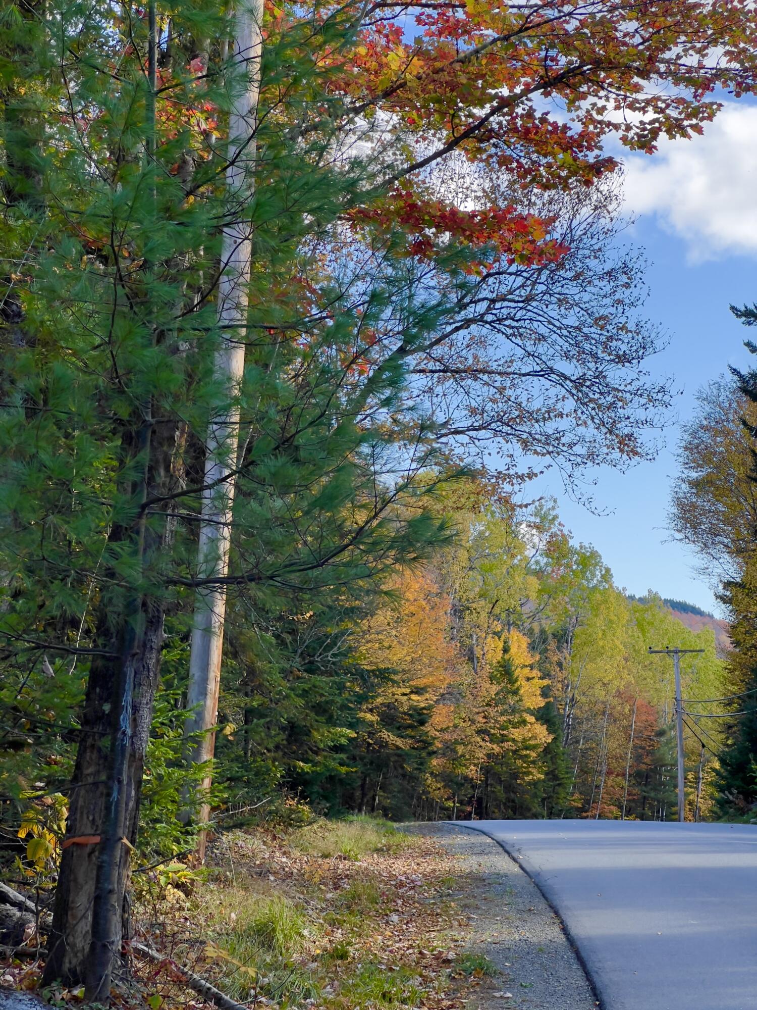 42 Bald Mountain Road Oquossoc, ME 04964 - Photo 10 of 30 Town Road