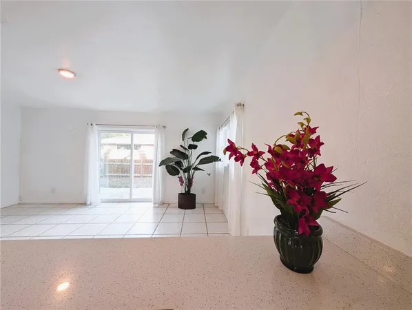 a view of kitchen with furniture and a potted plant