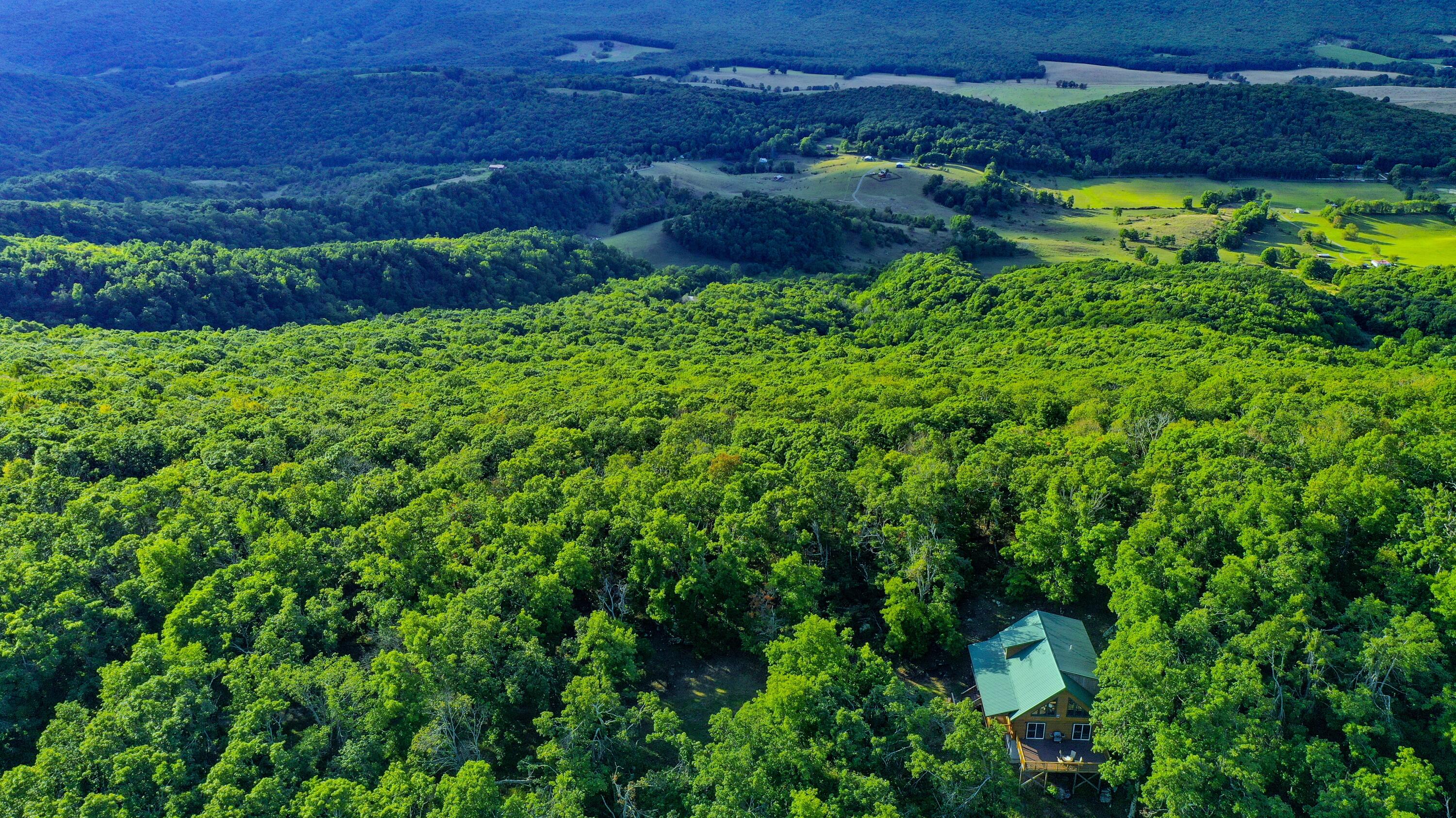 1727 Limestone Hill Road Gap Mills, WV 24941 - Photo 94 of 107 Gallery Image 94