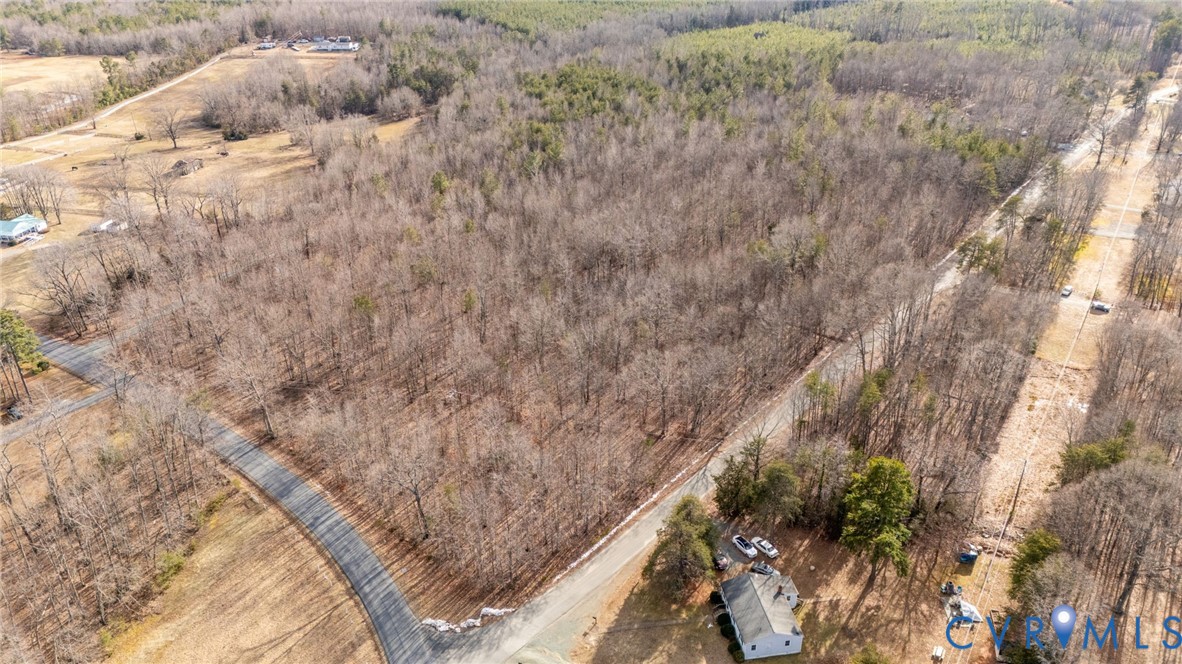 Lot 82 Cosner Road Louisa, VA 23093 - Photo 2 of 10 a picture of trees with outside space