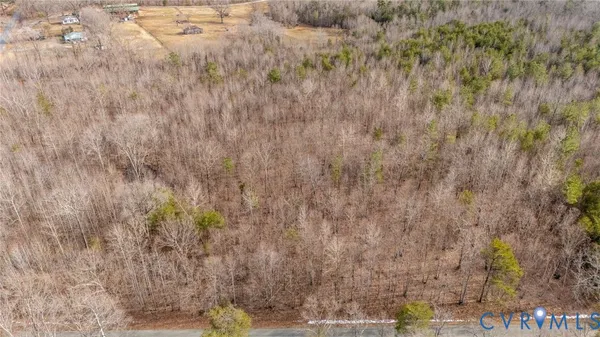 a view of a dry yard