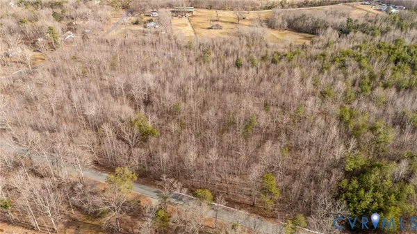a view of a dry yard with trees