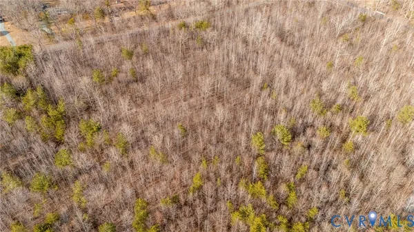 a close up view of a plant