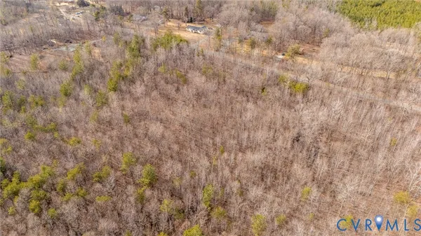 a close up view of a plant