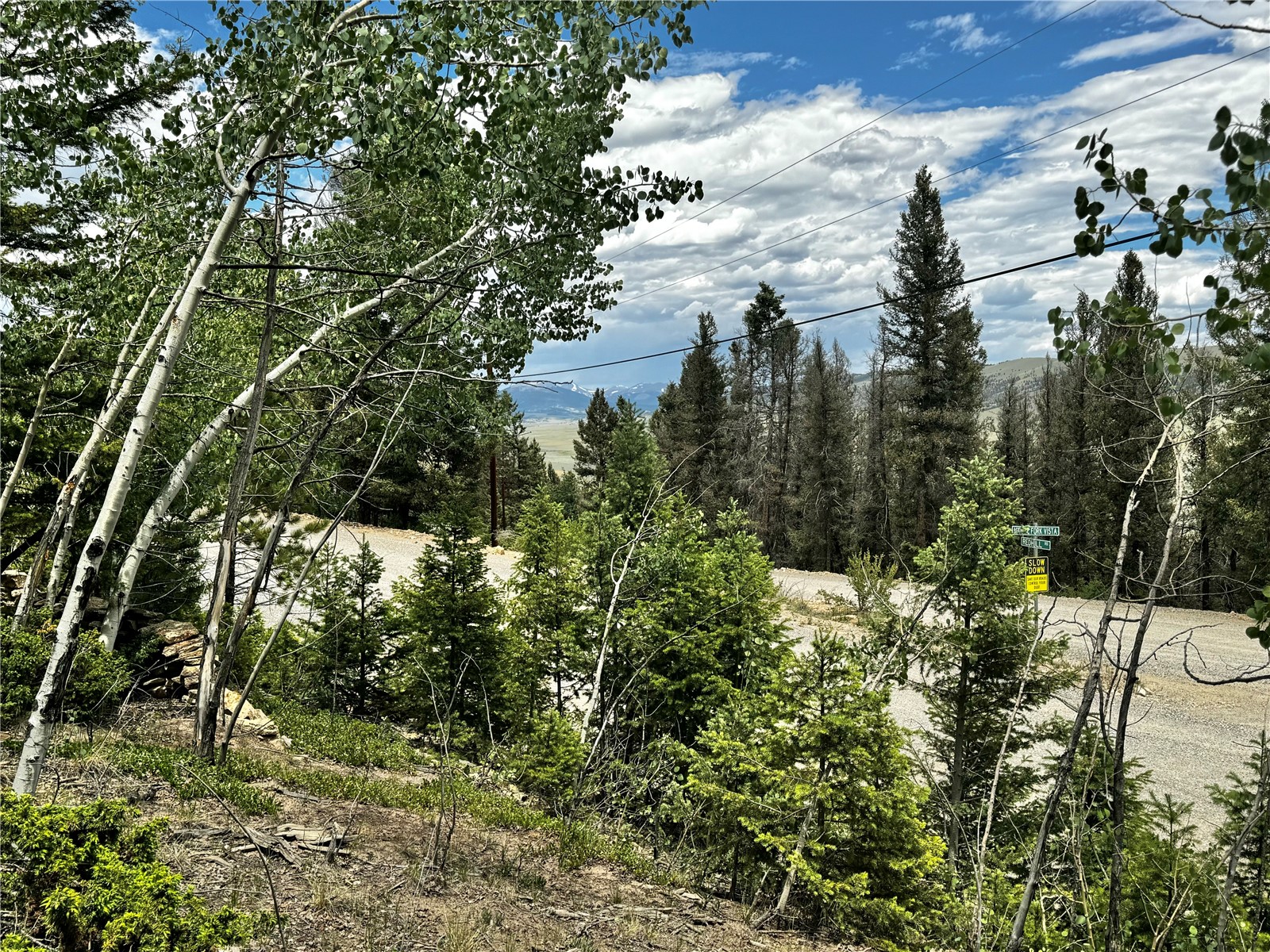 1063 Redhill Road Fairplay, CO 80440 - Photo 19 of 31 Gallery Image 19