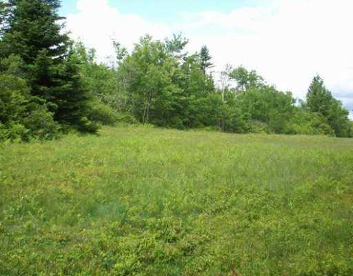 187 Mason Bay Road Jonesport, ME 04649 - Photo 3 of 7 Land/Lot.