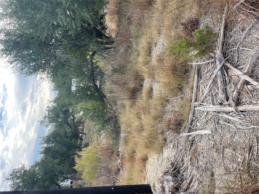 10103 George Hill Drive Dripping Springs, TX 78620 - Photo 2 of 4 a view of a yard