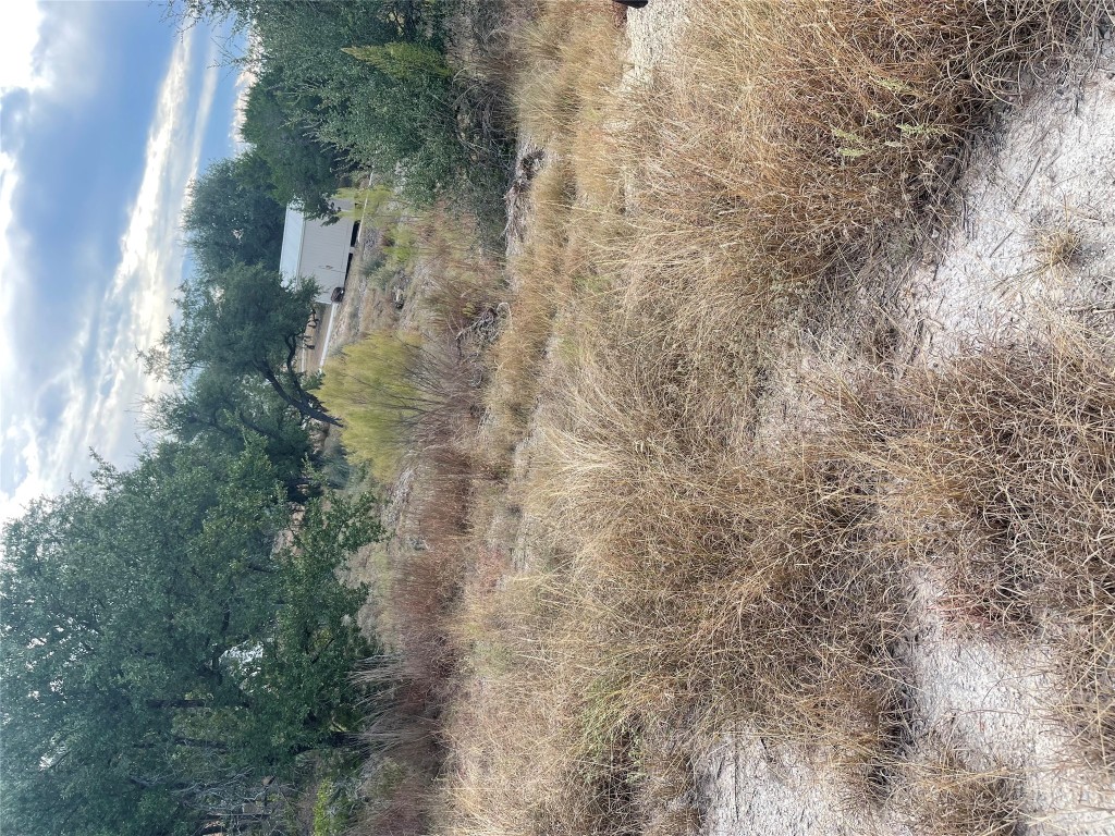 10103 George Hill Drive Dripping Springs, TX 78620 - Photo 3 of 4 a view of a dry yard with green space