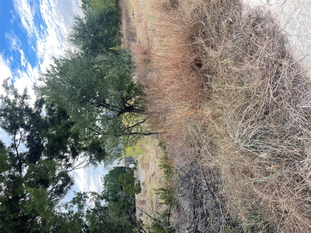 10103 George Hill Drive Dripping Springs, TX 78620 - Photo 4 of 4 a view of a yard
