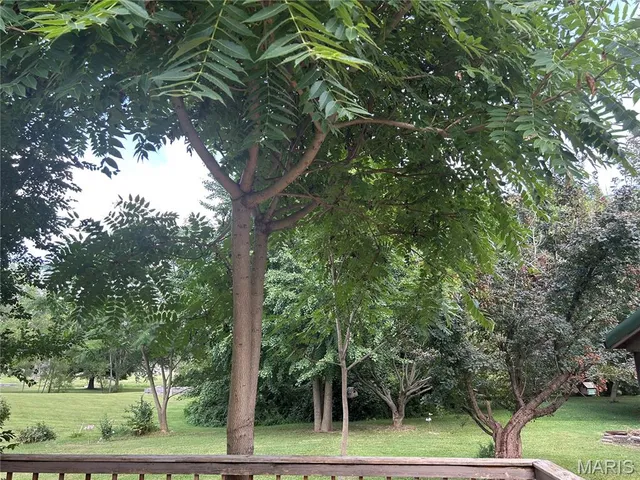 $99,000 | 402 North Hena Street, Greenville, IL 62246