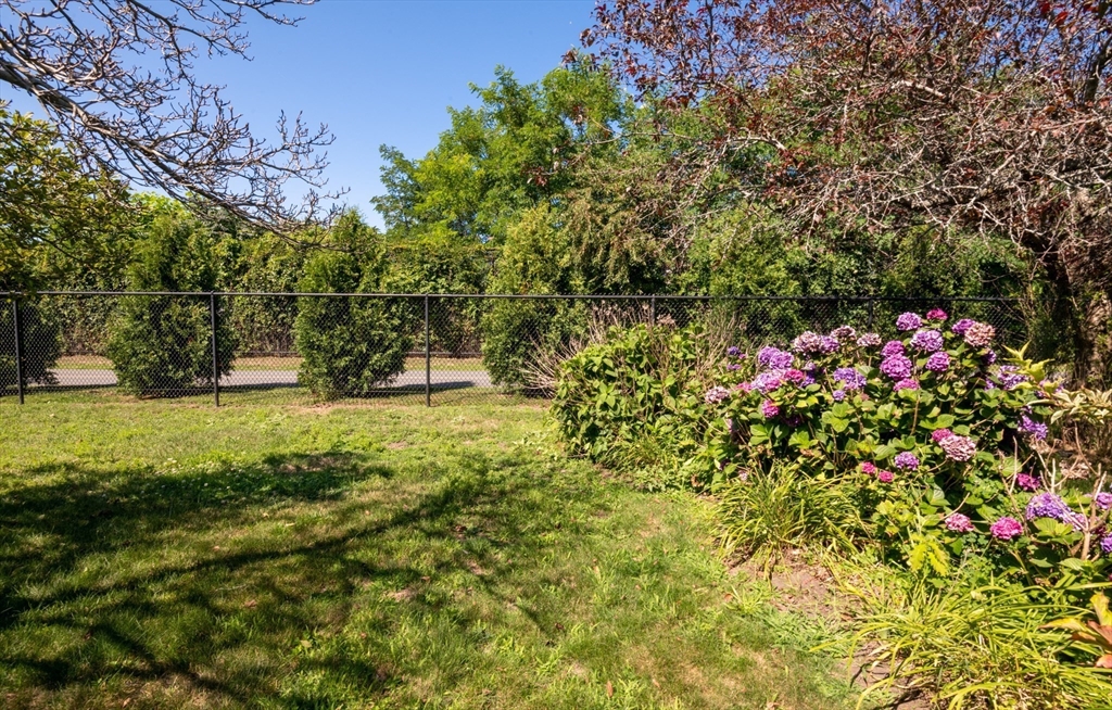 24 Webb Street Salem, MA 01970 - Photo 37 of 38 a view of garden