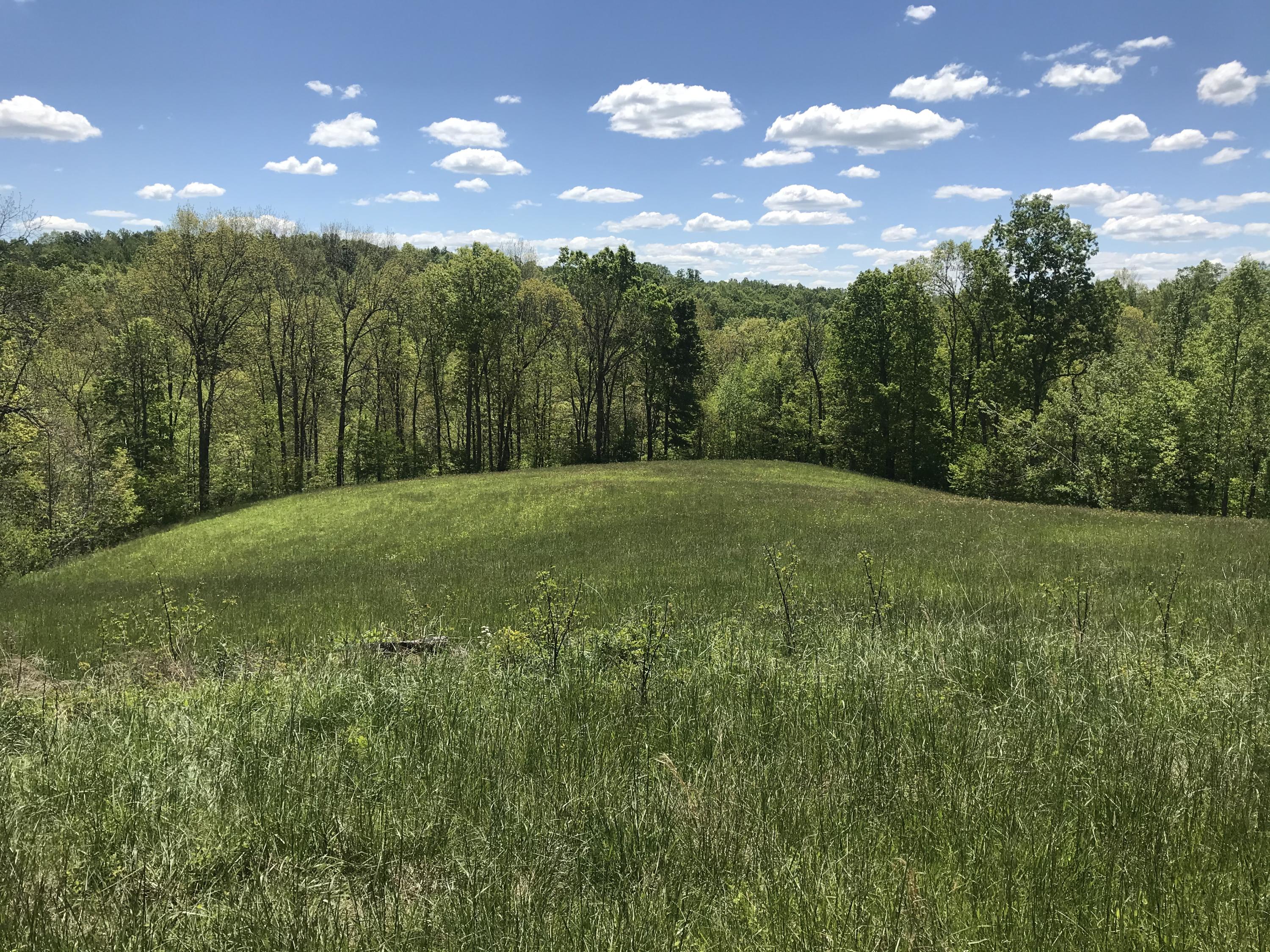Land East Campbell Branch Road Morehead, KY 40351 - Photo 2 of 25 B3C95F24-C880-45D2-B472-F914F5EFCD4C