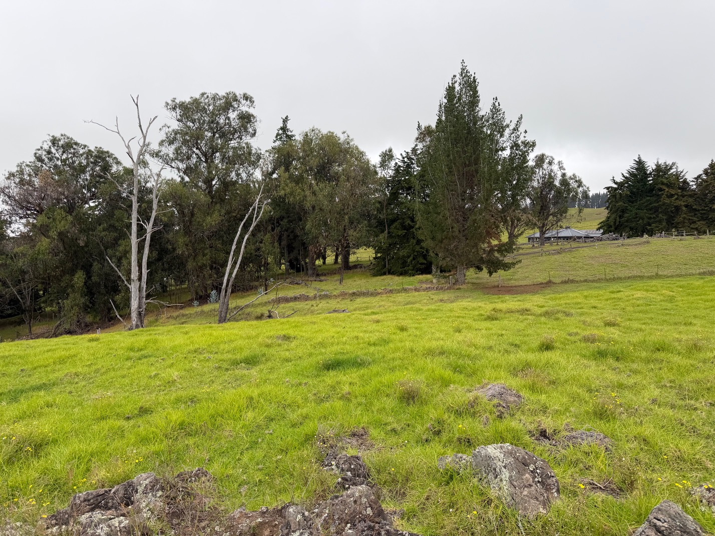 92 Lot Kamuela, HI 96743 - Photo 5 of 10 a view of outdoor space with deck and trees