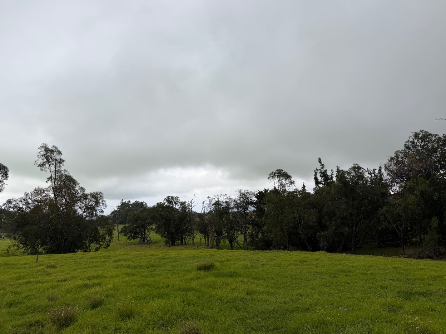 92 Lot Kamuela, HI 96743 - Photo 6 of 10 a view of a grassy field