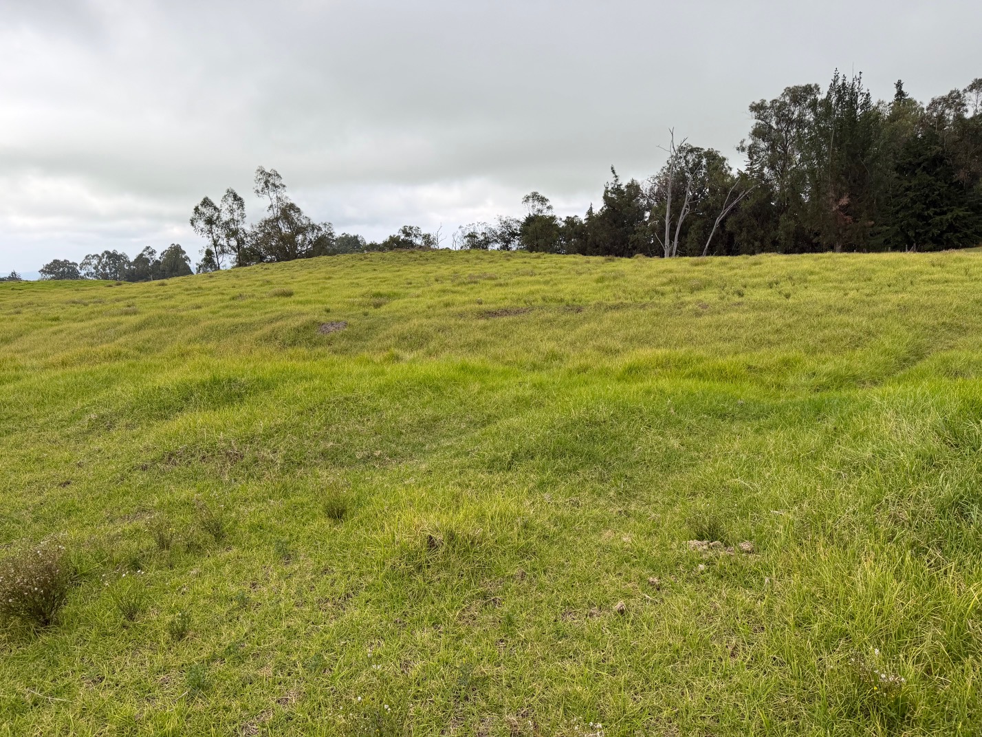 92 Lot Kamuela, HI 96743 - Photo 9 of 10 a view of a field with an ocean view