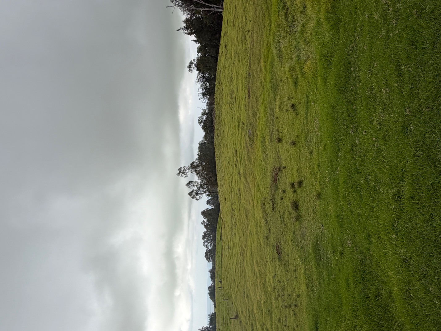 92 Lot Kamuela, HI 96743 - Photo 10 of 10