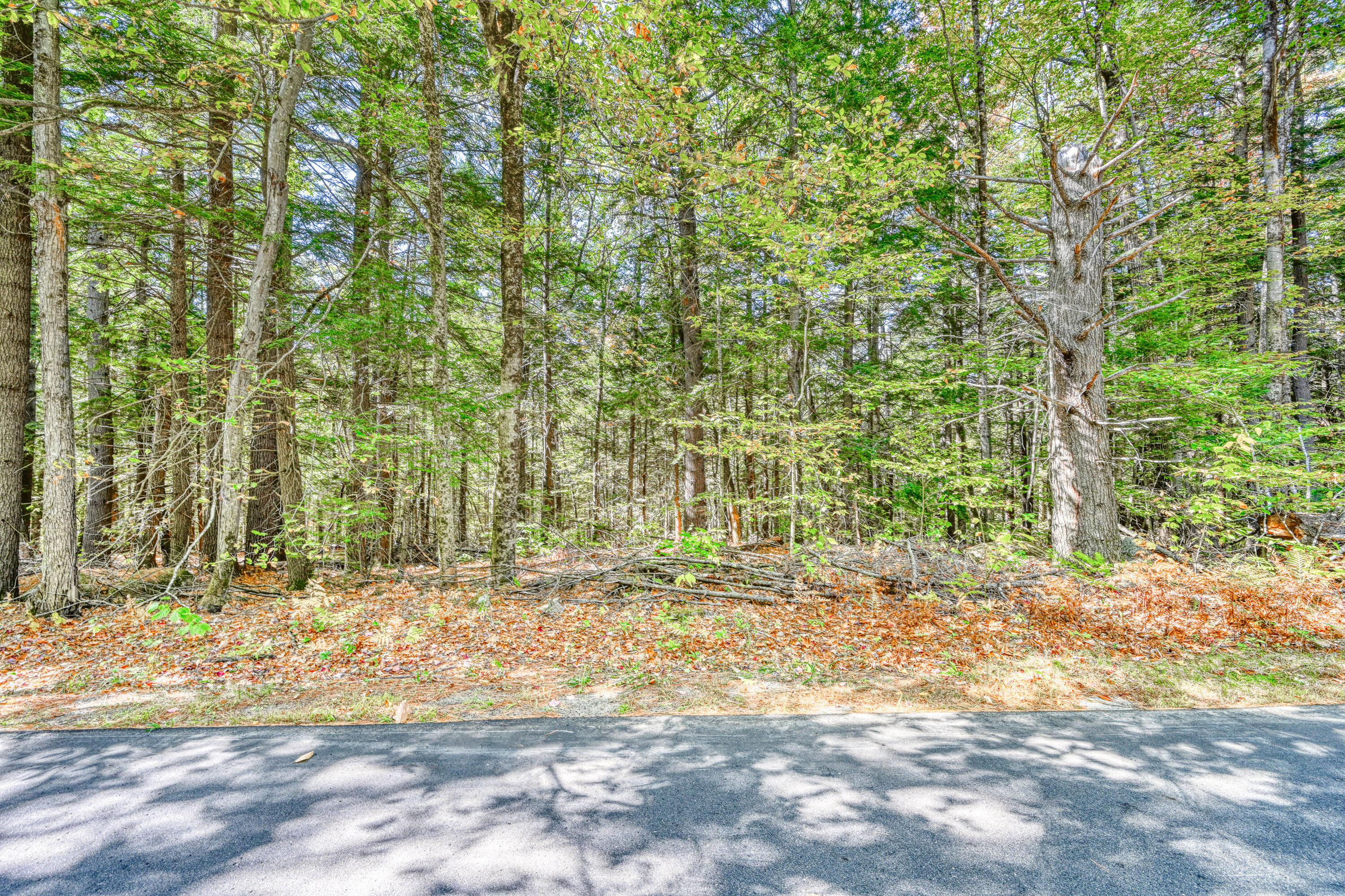 Tbd Watson Pond Road Rome, ME 04963 - Photo 2 of 33 110271gr-114
