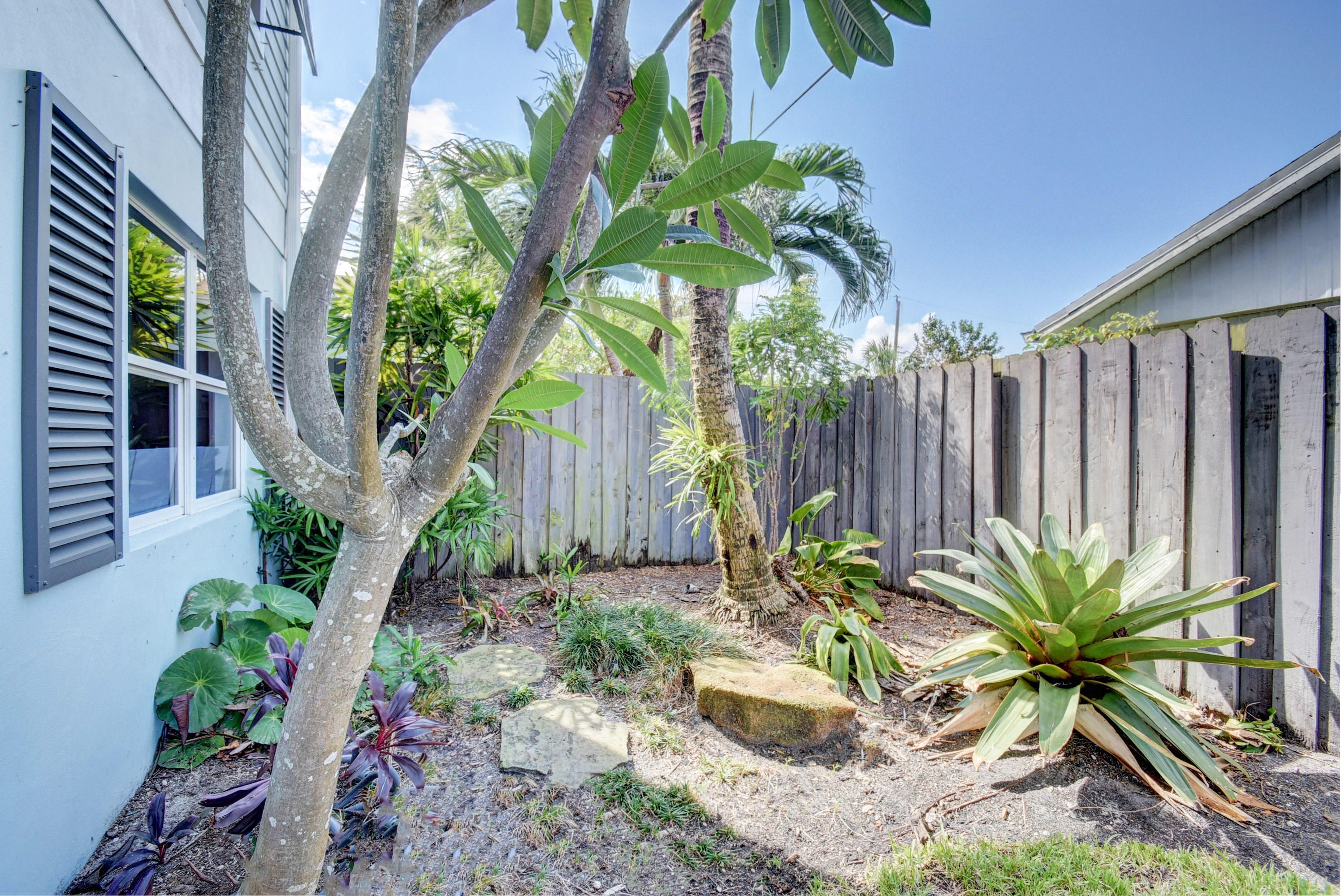 805 Northwest 2nd Avenue Boca Raton, FL 33432 - Photo 47 of 56 a potted plant sitting in front of a house with a garden