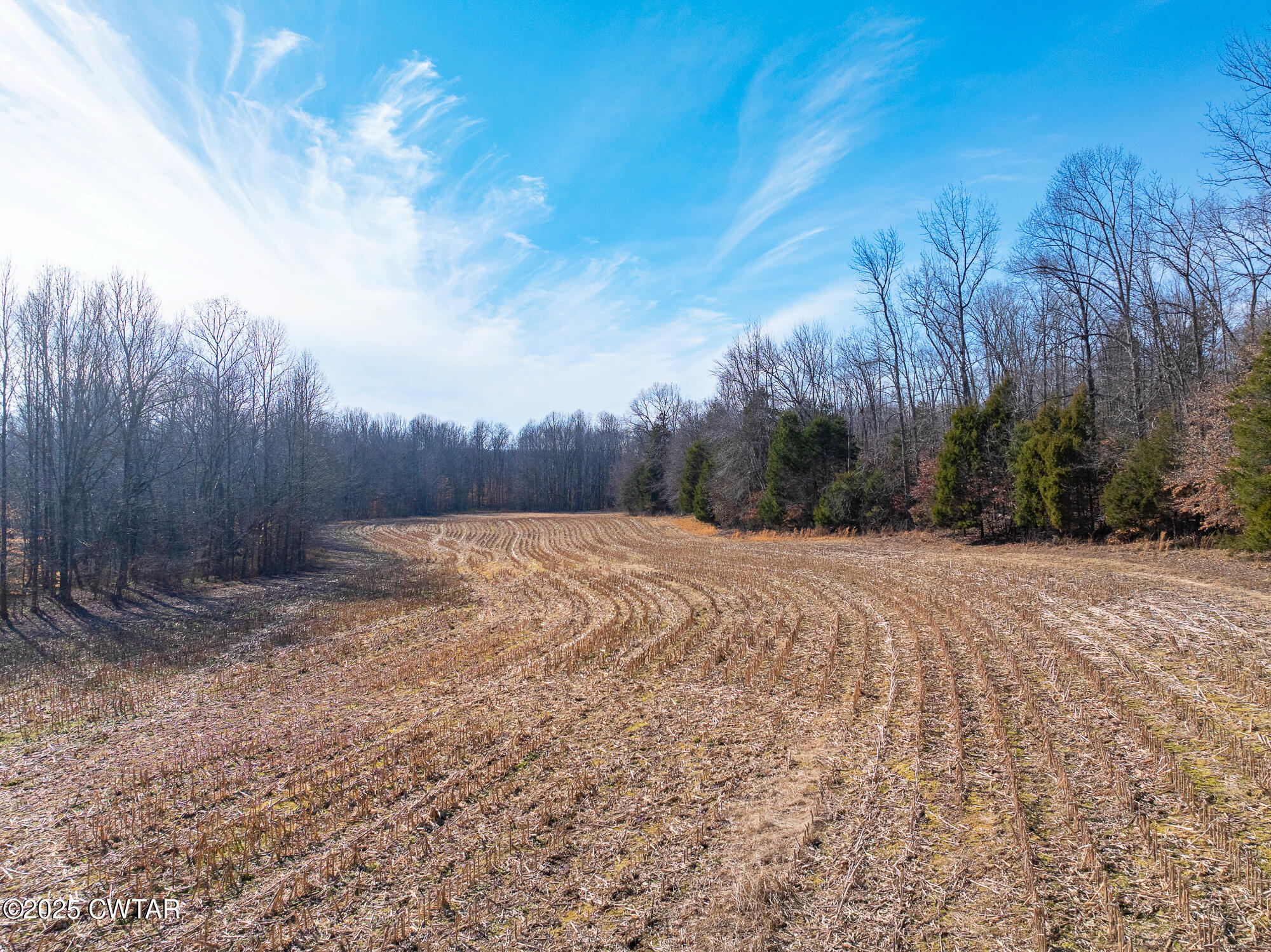 2615 Baudy James Road Cedar Grove, TN 38321 - Photo 14 of 19