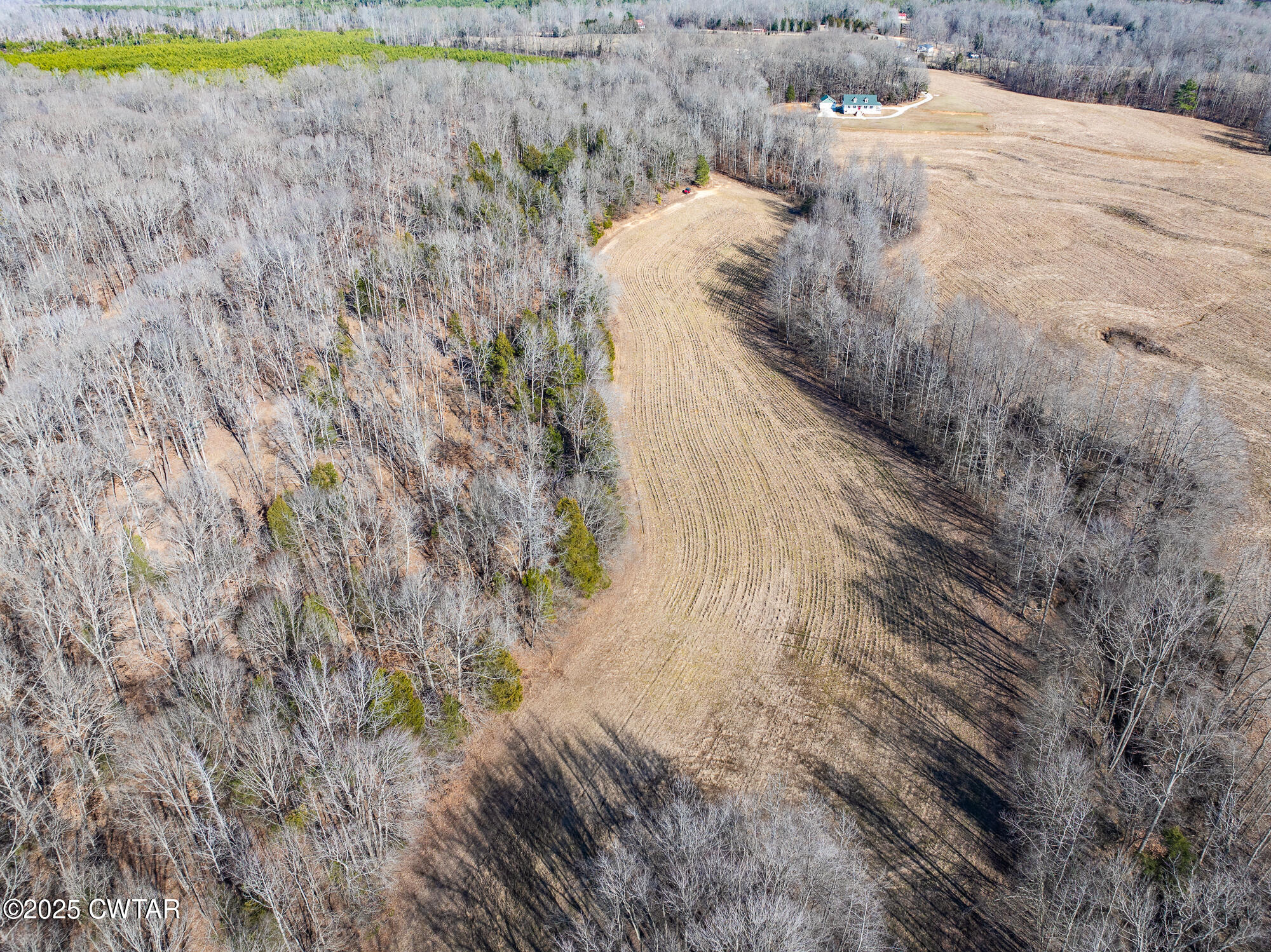 2615 Baudy James Road Cedar Grove, TN 38321 - Photo 17 of 19 a view of a dry yard with wooden fence