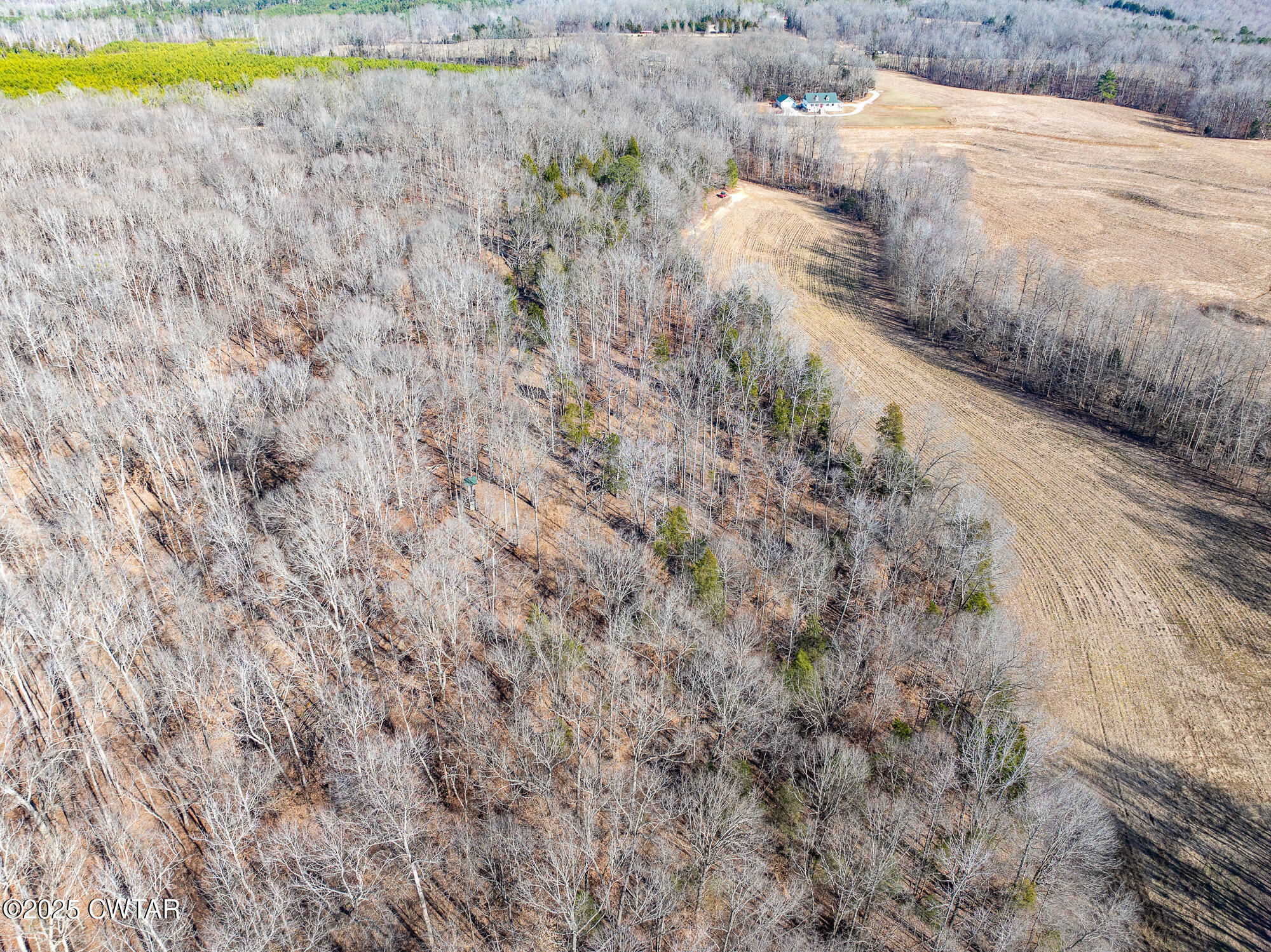 2615 Baudy James Road Cedar Grove, TN 38321 - Photo 18 of 19