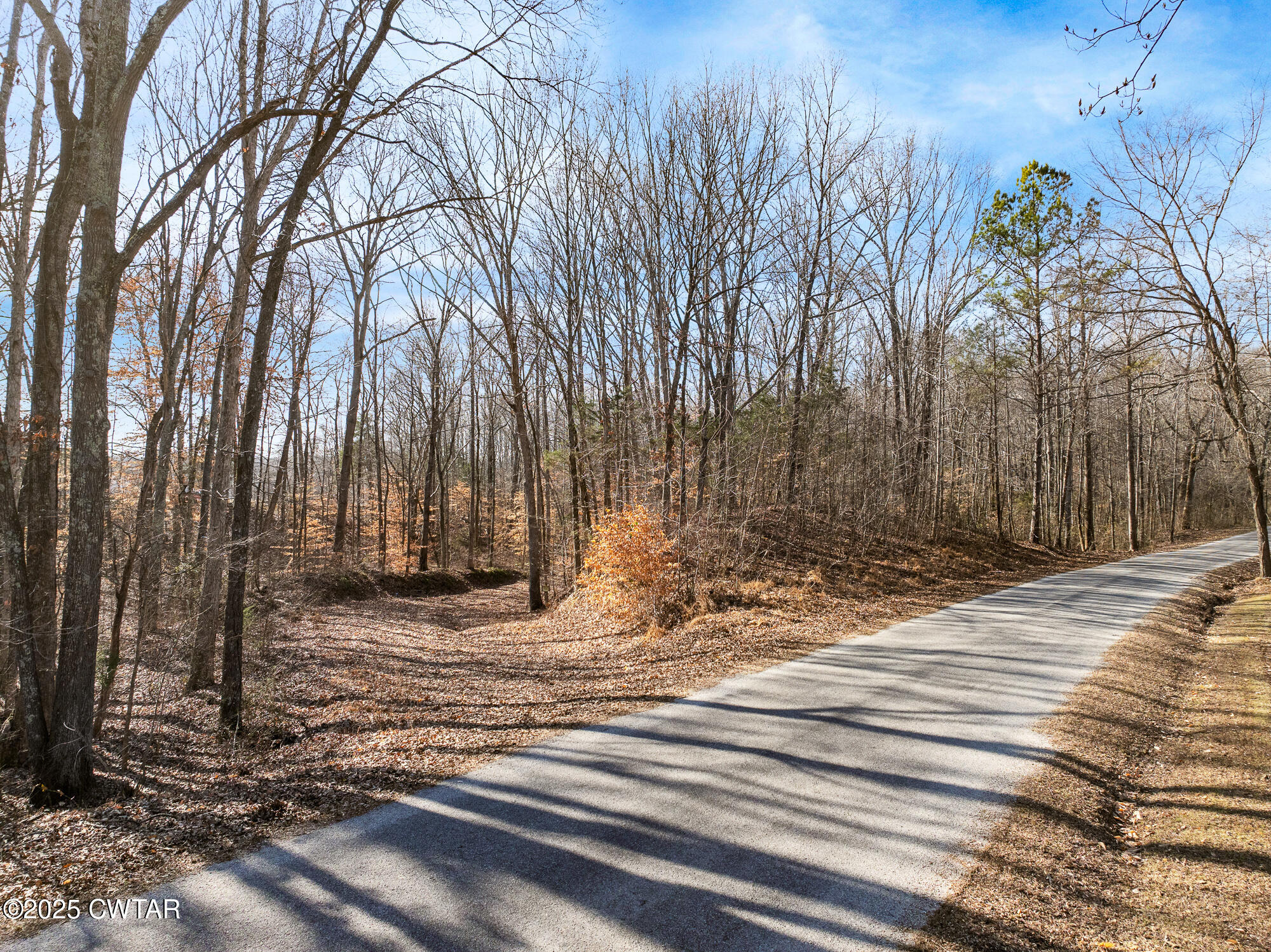 2615 Baudy James Road Cedar Grove, TN 38321 - Photo 2 of 19 a view of a backyard of the house