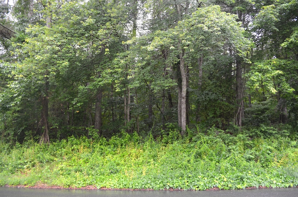 32 Coffey Hill Road Ware, MA 01082 - Photo 2 of 4