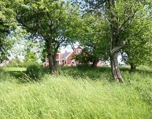 765 County Road Lubec, ME 04652 - Photo 17 of 21 Land. Small apple orchard