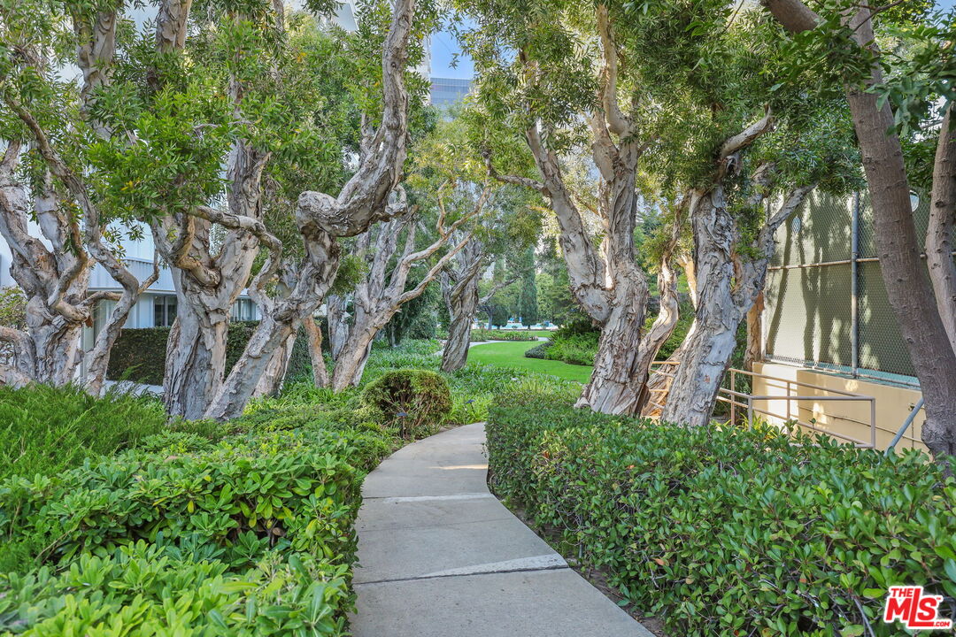 2170 Century Park East, Unit 104 Los Angeles, CA 90067 - Photo 32 of 42 a view of a yard with plants and a large tree