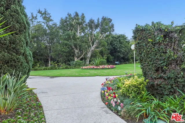 a view of a garden with flowers and trees