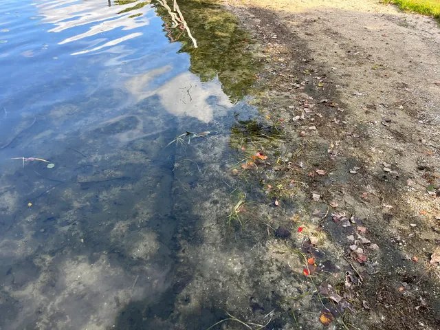 $350,000 | 10494 Tomkinson Drive, Scotts, MI 49088