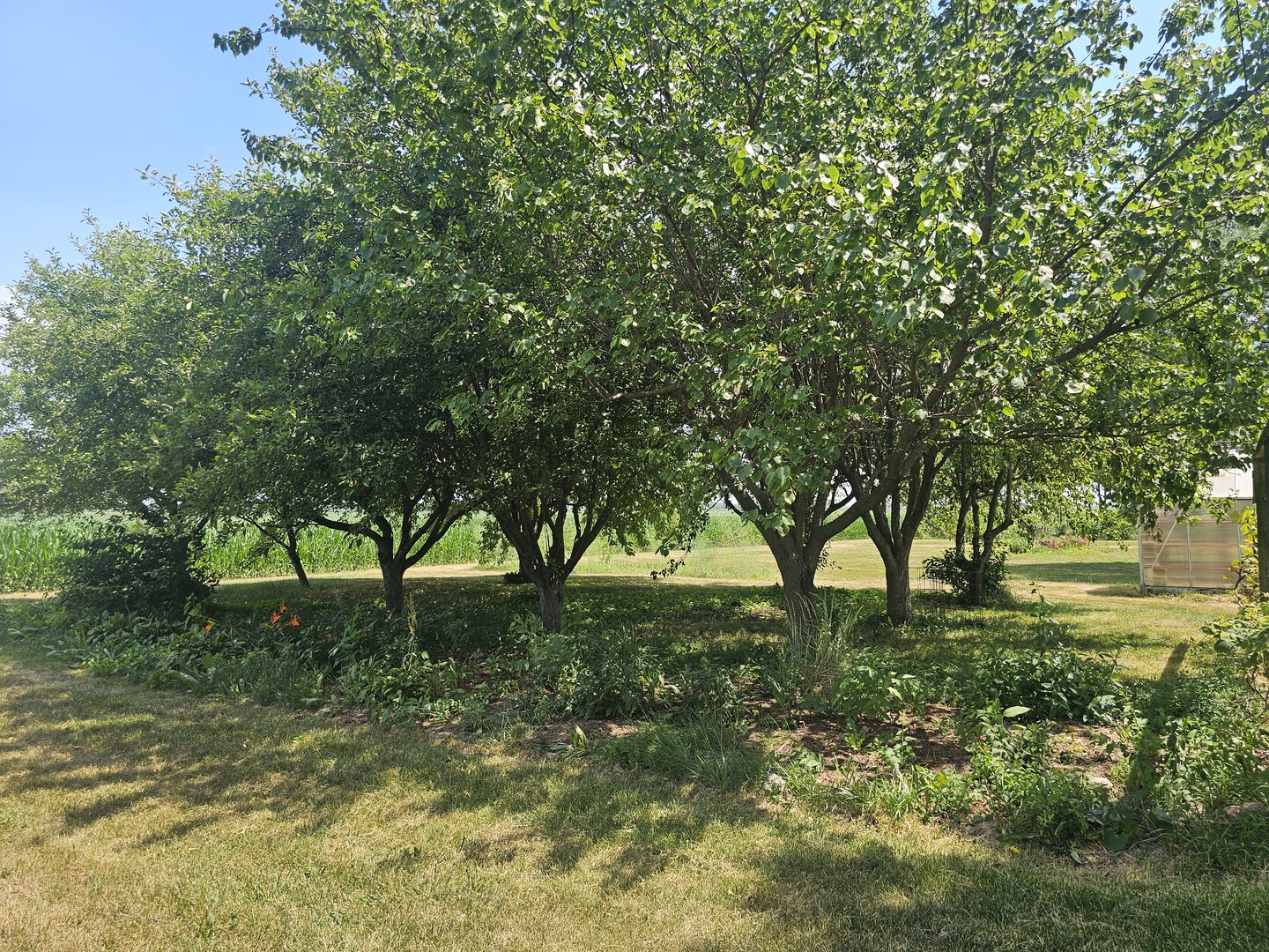 9015 West Joliet Road Peotone, IL 60468 - Photo 35 of 44 Gallery Image 35