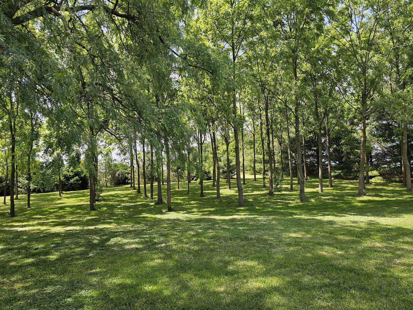 9015 West Joliet Road Peotone, IL 60468 - Photo 36 of 44 Gallery Image 36