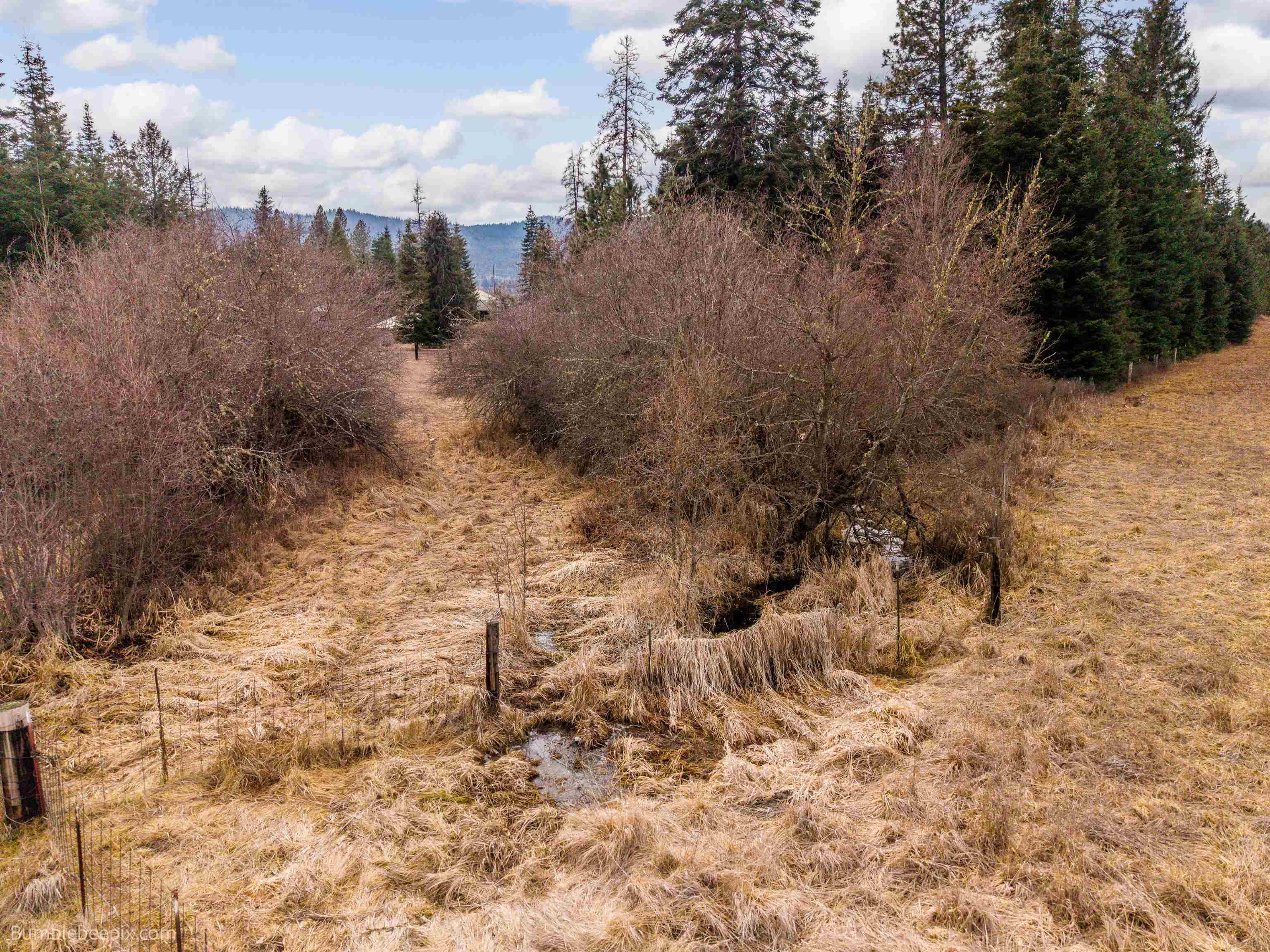 263 Fourspots Road Cusick, WA 99119 - Photo 46 of 50