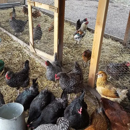 $675,000 | 263 Fourspots Road, Cusick, WA 99119