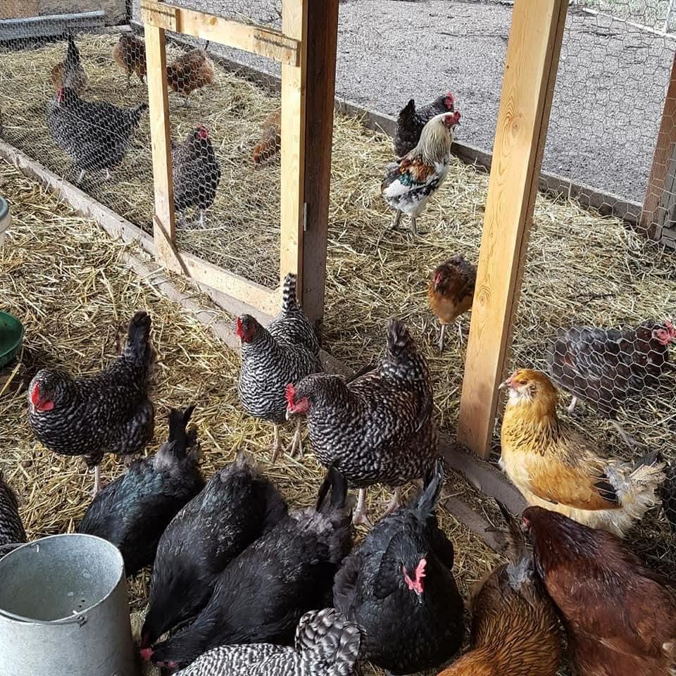 263 Fourspots Road Cusick, WA 99119 - Photo 50 of 50