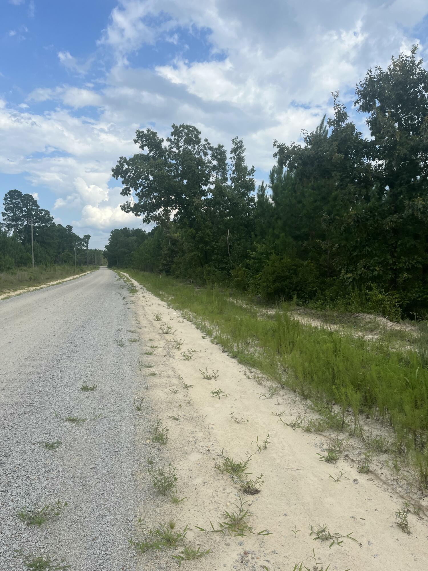 1 B Brunson Teal Road, Unit BFF 1B Patrick, SC 29584 - Photo 11 of 17