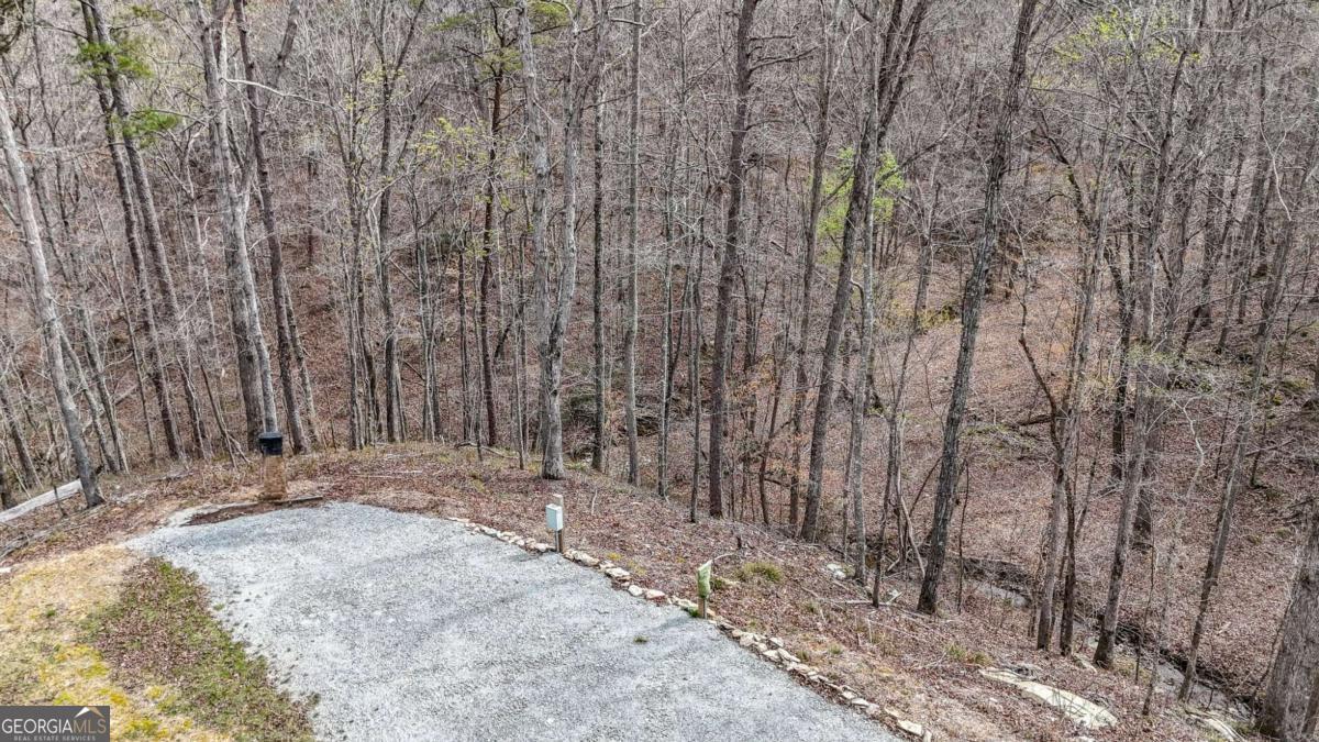 0 Felton Rockmart Road Buchanan, GA 30113 - Photo 14 of 47