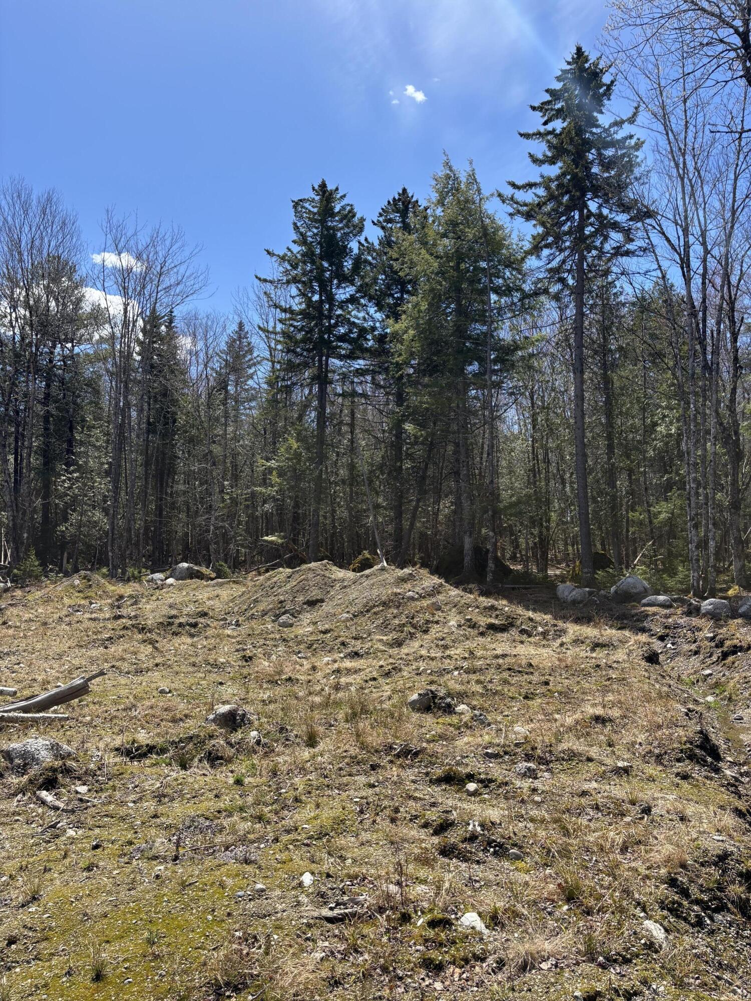 0 High Point Drive Penobscot, ME 04476 - Photo 4 of 8 IMG_7565