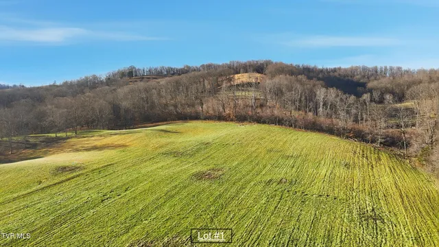 $191,330 | 261 Dotson Lane, Unit LOT 1, Church Hill, TN 37642